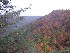 View from Big Run Scenic Overlook